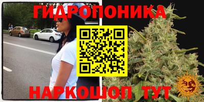 ECSTASY Кимры